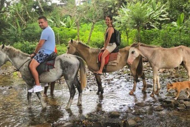 Authentic Fijian Day Tour - The kava welcome and meeting the village chief (what it really gives you)