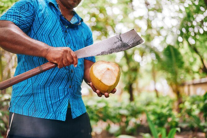 Beachcomber Island Day Trip Fiji's Authentic Island Experience - Morning tea that sets the relaxed tone