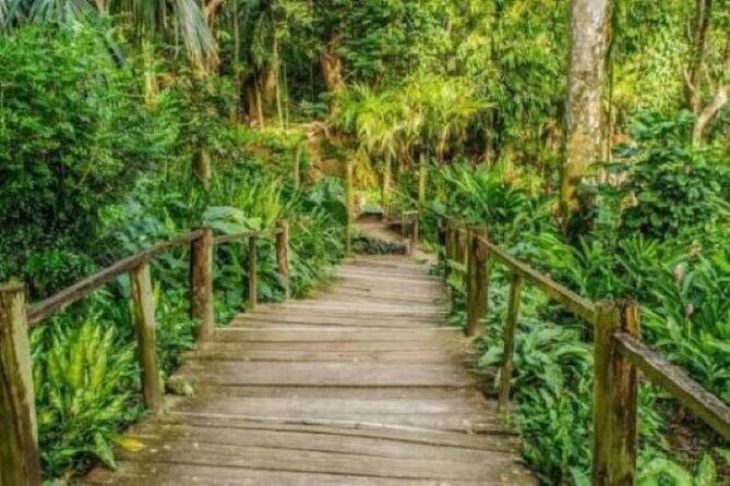 Best of Fiji Tours: 3 Days Package - Who This Tour Fits Best (and Who Might Want Another Option)