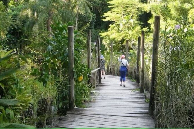 Best of Nadi Highlights - Garden of the Sleeping Giant: orchids, rainforest vibes, and your own pace