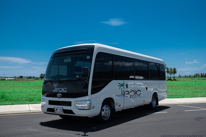 CFC APPROVED Private Arrival Transfer - Nadi Airport to Naviti Resort - Flight Delays, No Drama: What the Reviews Indicate