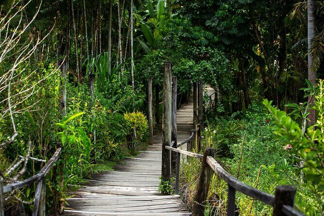 Coral Coast Sightseeing & Pottery Village Tour - Price and Value: Is $78.20 a Smart Deal?