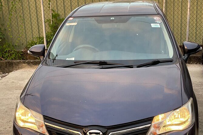 Denarau Hotels to Nadi Airport (Private Transfer) - Denarau hotels covered: where this pickup fits best
