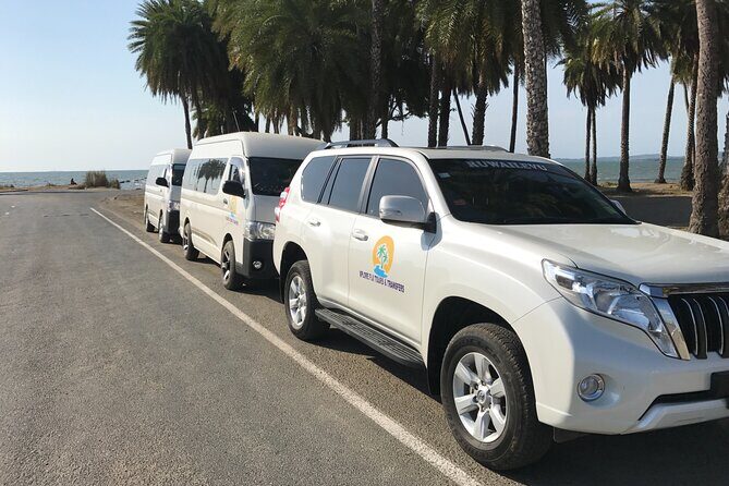 Denarau Hotels to Nadi Airport (Private Transfer) - Brand-new vehicles and driver help with luggage