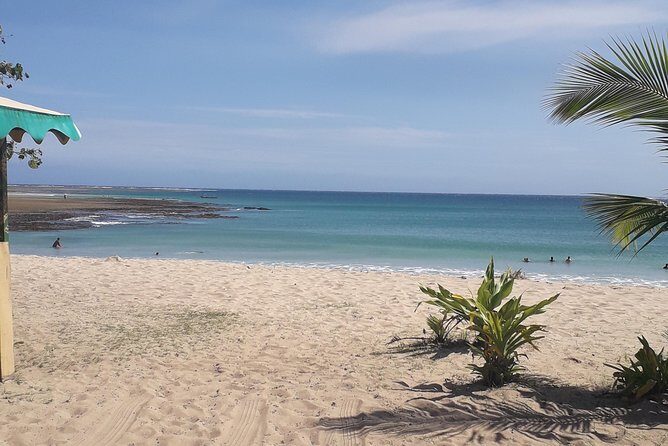 Discover Coral Coast & Natadola Beach Tour - Included Transport: The Real Comfort Perk