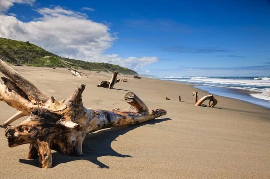 Discover Fijian Culture and Reptiles - Quick Hits Before You Go