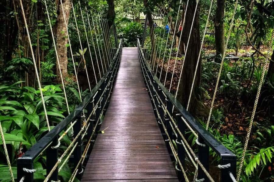 Discover Fijian Culture and Reptiles - Sigatoka Sand Dunes National Park: Guided Hiking and Scenic Views