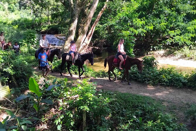 Fiji Adventure: Biausevu Waterfall & Dunes hiking Combo Tour! - Value check: is $139.70 a smart buy for what you actually get?