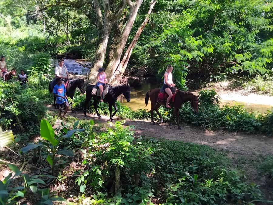 Fiji Biausevu waterfall & Village Tour - Key points you’ll care about