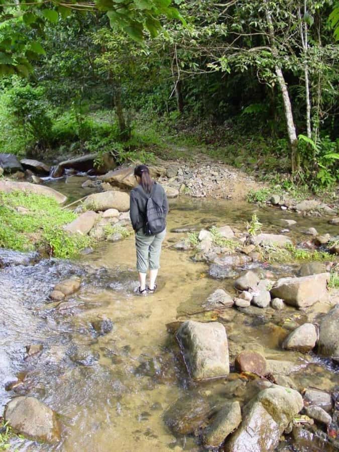 Fiji Biausevu waterfall & Village Tour - Who this tour fits best (and who should skip it)