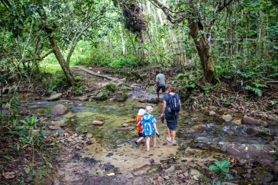 Fiji Biausevu waterfall & Village Tour - Simple planning checklist for a smoother day