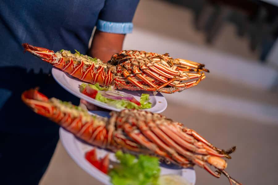 Fiji: Captain Cook Cruises Sunset Dinner Cruise with Lobster - Should You Book This Captain Cook Cruises Sunset Dinner Cruise?