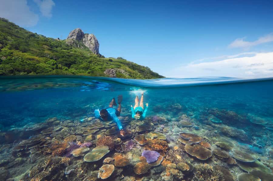 Fiji: Kuata Island Marine Conservation Experience Full Day - Guided snorkel with a marine biologist and the coral regeneration step