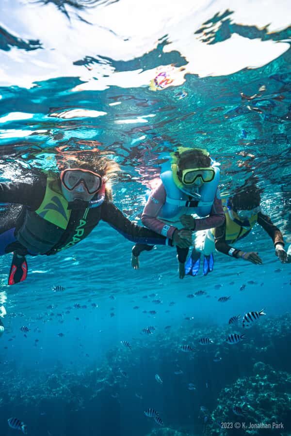 Fiji: Kuata Island Marine Conservation Experience Full Day - Price and value: $191 that includes the hard-to-copy parts