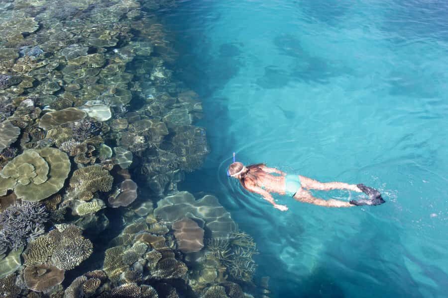 Fiji: South Sea Island Combo Half Day Trip Lunch & Drinks - Snorkelling Gear, Non-Motorised Water Sports, and the Coral-Viewing Setup