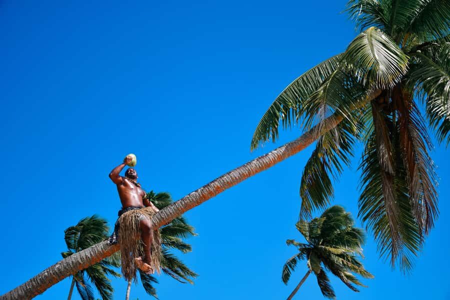 Fiji: Village & Mud-Crab Catching Tour - FAQ