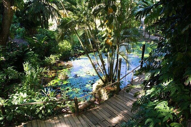 Full Day Discover Nadi Tour ( From Sigatoka Coral coast Hotels ) - Viseisei: a village-style cultural stop that can feel more reflective than exciting