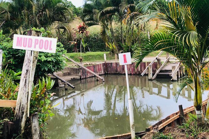 Garden Of Sleeping Giant ,Mudpool &Temple Tour From Coral Coast - Sabeto Hot Springs and Mud Pool: the fun, messy payoff