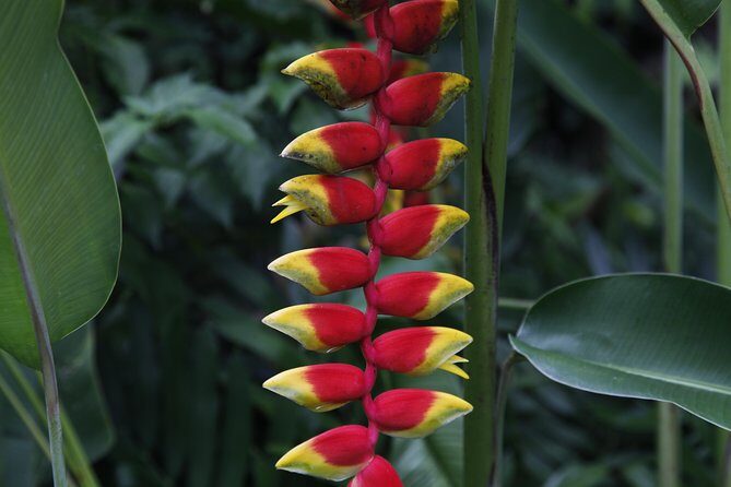 garden of the sleeping giant and mudpool tour combo - Garden of the Sleeping Giants: flora, fauna, and quiet walking time