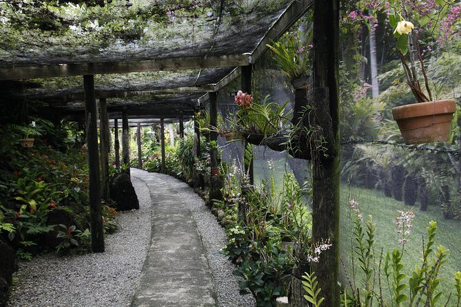 garden of the sleeping giant and mudpool tour combo - Pickup and the air-conditioned ride on Denarau
