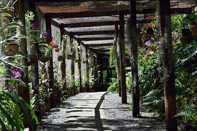 Half Day Mudpools, Veseisei Fijian Village, Gardens of Sleeping Giants &Shopping - Price and value: what you’re really paying for