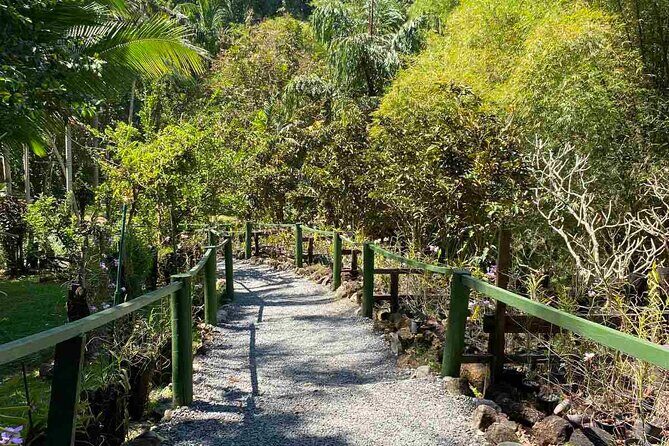 Half Day Nadi Tour Temple, Market, Gardens and Mud Pools - Entering Nadi’s Culture: Sri Siva Subramaniya Swami Temple