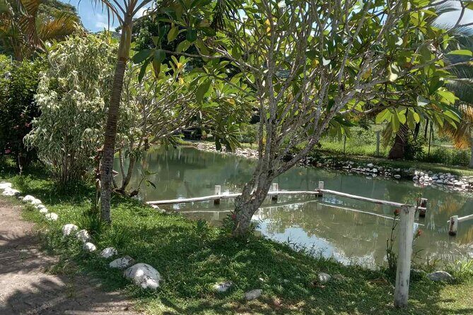 Half Day Nadi Tour Temple, Market, Gardens and Mud Pools - How the 4½ Hours Actually Works: Pickup, Private Pace, and Air-Conditioned Comfort