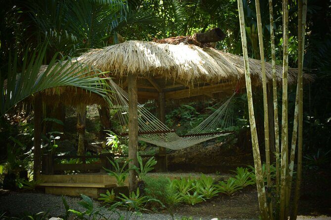 Half Day Sightseeing - Wonders of Nadi Tour - Gardens of the Sleeping Giant: Orchids in Mountain Shade