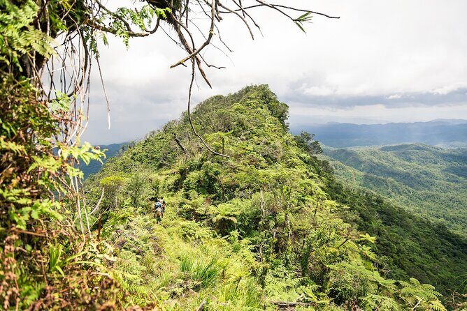 Hiking Adventure including Fiji's Highest Mountain and 3 Nights - Key takeaways before you go
