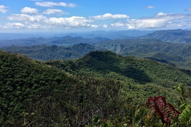 Hiking Adventure including Fiji's Highest Mountain and 3 Nights - Getting off the Nadi coast: pickup and 4WD into Fiji’s interior