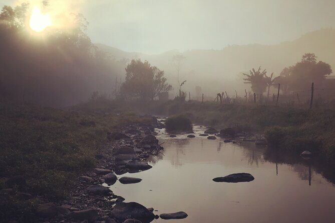 Hiking Adventure including Fiji's Highest Mountain and 3 Nights - Day 1 in Navai: your first village stay and the start of the highlands rhythm