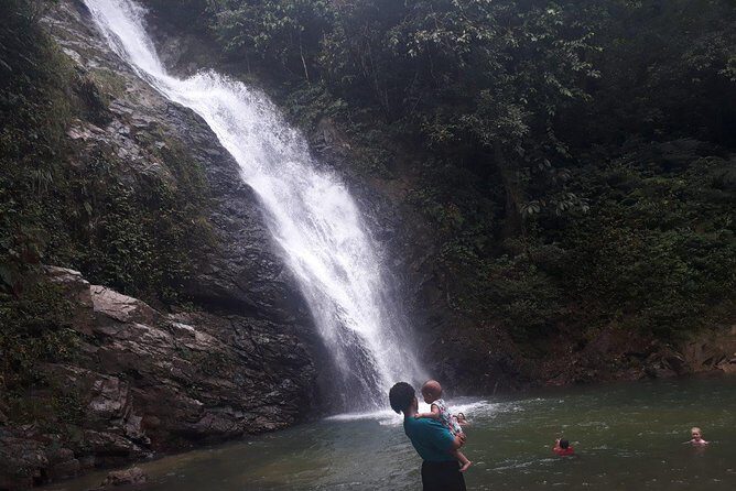 iconic waterfall tour - A 5-hour coral coast day that starts and ends easy