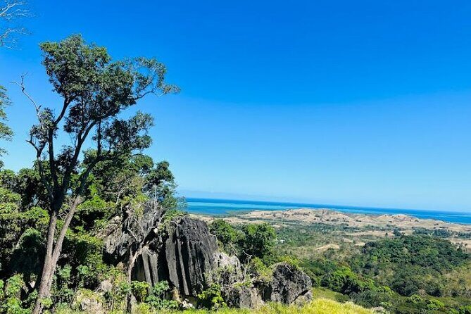 Largest Zipline in South Pacific & Cave Exploration in Nadi - The Zipline Course: 16 Cables, Real Speed, and Ocean Views