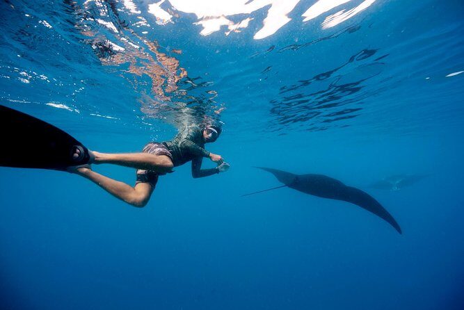 Manta Ray Experience - The 75-minute guided manta ray experience: what’s actually included