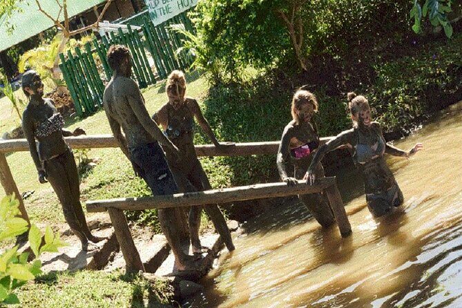 Mud Pools, Gardens, Markets, Temple & Shopping-Nadi Tour half day - Sabeto Hot Springs and Mud Pool: the main event (and the messy part)