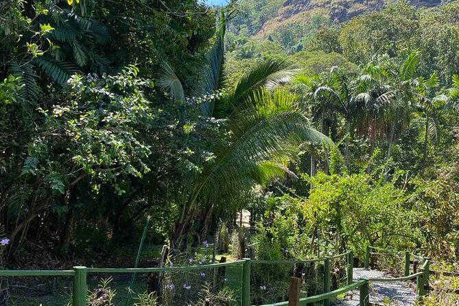 Nadi Fiji Historical Half Day Tour - Sri Siva Temple: What You’ll See and How to Read It