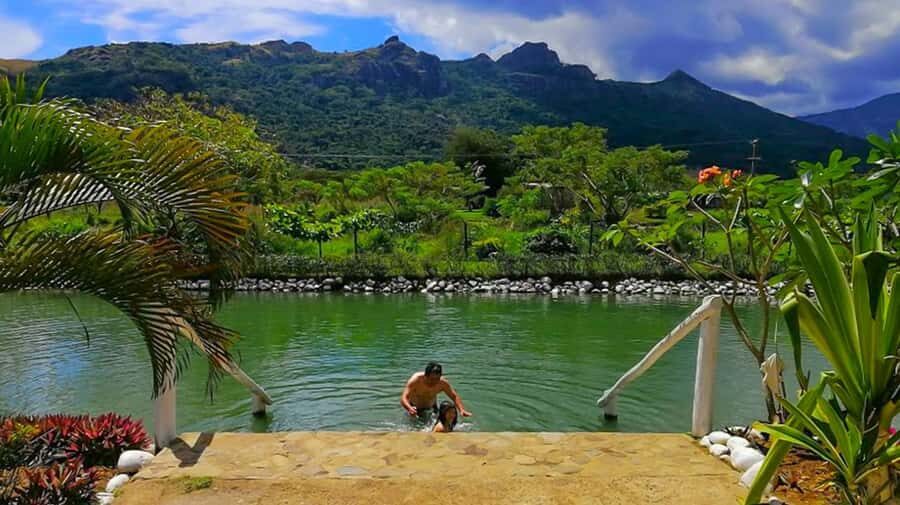 Nadi: Mud Pool and Hot Spring Private Tour - Key things I’d plan around