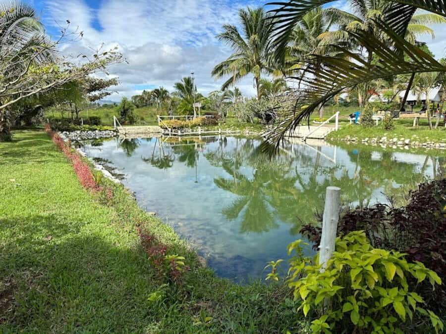 Nadi: Mud Pool and Hot Spring Private Tour - The mud pool ritual: mineral mud, warm soak, and a refresh after sun