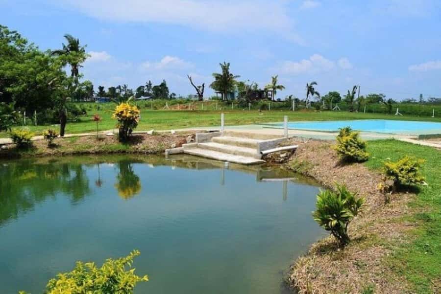Nadi: Mud Pool and Hot Spring Private Tour - The optional massage add-on: when it’s worth paying extra