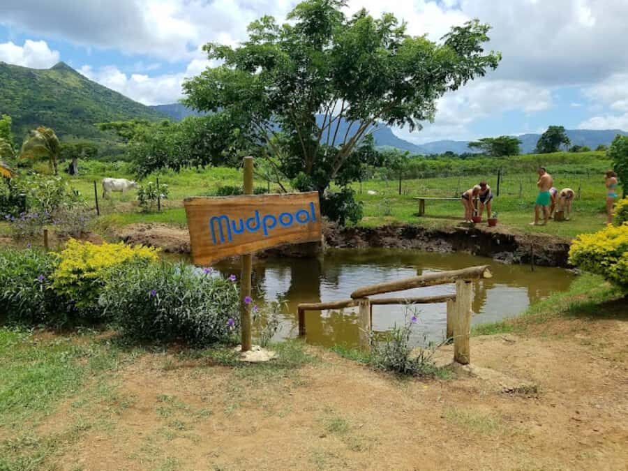 Nadi: Mud Pool and Hot Spring Private Tour - Price and value: what you get for $49 per person
