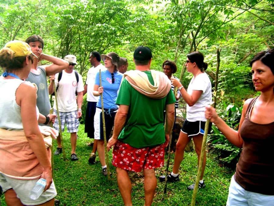 NADI: Nalesutale Village Half Day Tour - The Kava Welcome Ceremony: Short, Serious, and Social