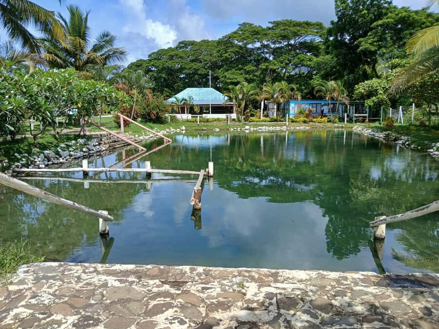 NADI-SABETO: Tifajek Hot Spring and Mudpool Natural Spa - Key things to know before you go