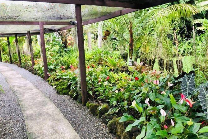 Nadi Sightseeing & Mud Pool Tour - Ex Fiji Marriott, Momi Bay - A Smart One-Day Loop From Momi Bay to Sabeto Hot Springs