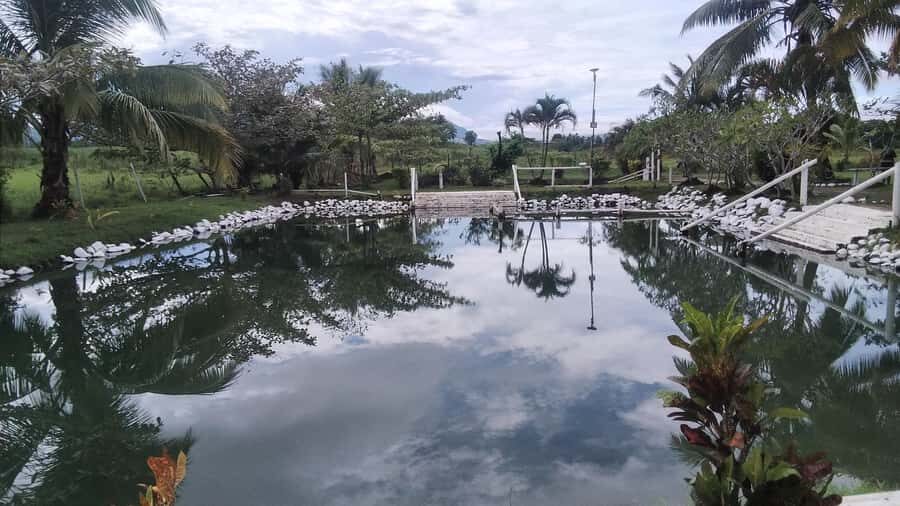 Natadola Beach Tour With Tifajek Mud Pool & Hotspring - Price and value: what you’re really paying for at $102
