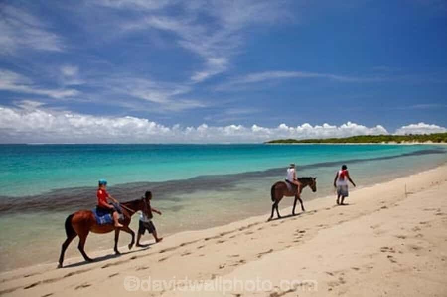 Natadola Beach Tour With Tifajek Mud Pool & Hotspring - Who this tour fits best