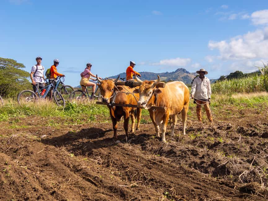 Off-road E-bike Tour with Local Guides - Key highlights to plan around