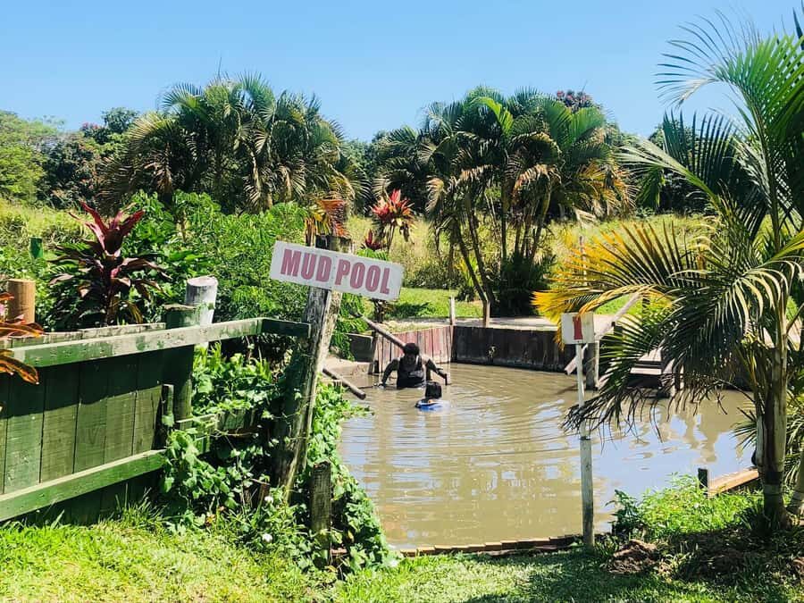 Official: Sabeto Hotspring and Mud Pool Tours & Tickets - Sabeto Hot Springs and Mud Pools: the 3-hour plan that works