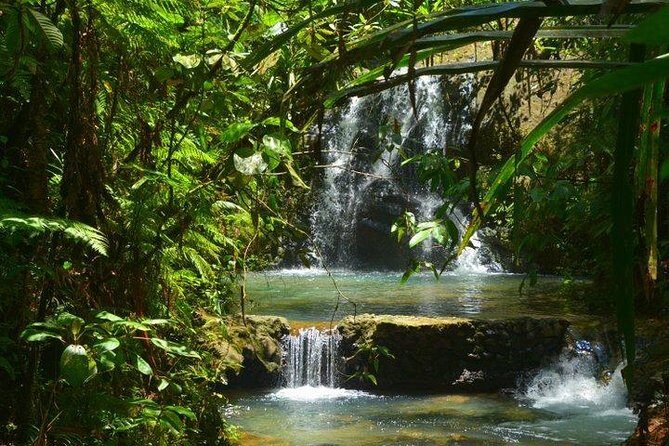 Port of Suva - Private Tour - A private custom Suva day you can actually steer