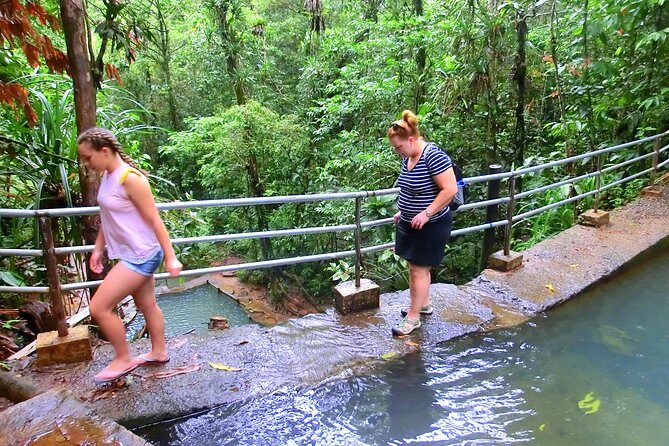Port of Suva - Private Tour - Should you book the Port of Suva private tour?