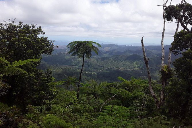 Private Breathtaking Mnt Victoria Day Trek - The 6-hour summit trek: the main event, with local flexibility